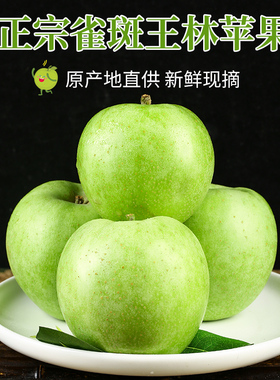 正宗王林青苹果当季新鲜水果脆甜10斤青森绿苹果青蜜王琳雀斑玉林