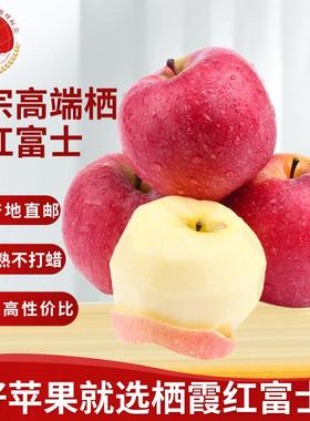 2023年高端栖霞红富士山东烟台苹果产地直供新鲜水果10斤普通快递