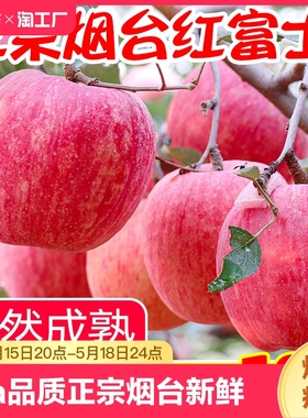 【脆甜多汁】正宗烟台红富士苹果新鲜水果山东栖霞当季整箱10斤