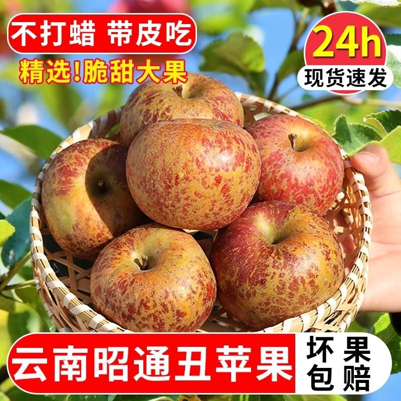 云南昭通丑苹果冰糖心新鲜水果当季红露苹果红富士苹果10斤脆甜