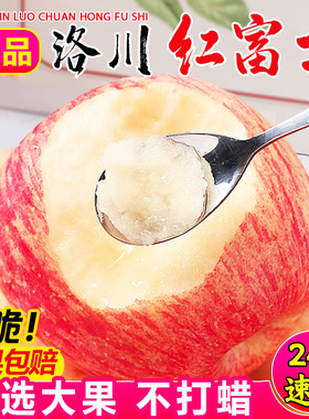正宗陕西洛川红富士苹果水果新鲜甜脆10斤整箱当季冰糖心苹果丑