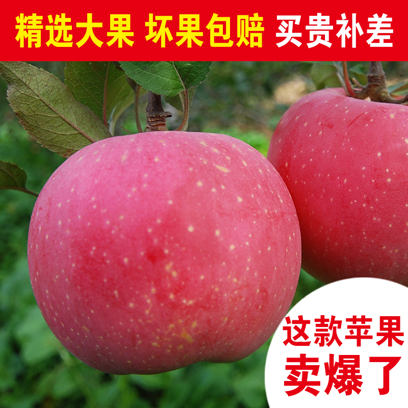 晋味来 山西壶口吉县红富士苹果水果10斤装整箱包邮新鲜当季现摘