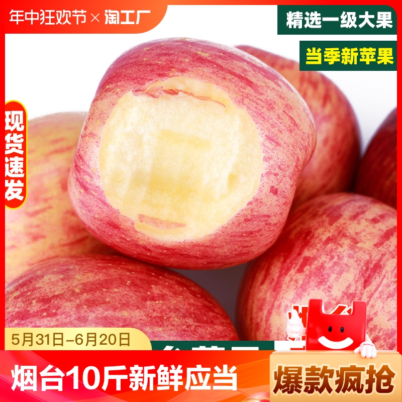 真烟台红富士苹果10斤水果新鲜应当季正宗山东栖霞苹果冰糖心整箱