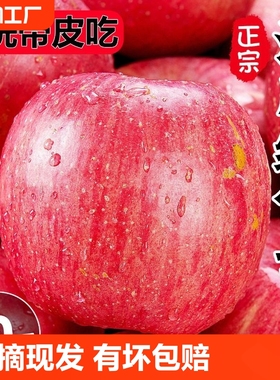正宗陕西洛川苹果10斤新鲜水果红富士当季整箱包邮冰糖心苹果甄选