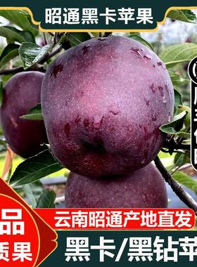 云南昭通黑卡苹果黑钻苹果黑色纯甜苹果新水果鲜当季整箱10斤包邮