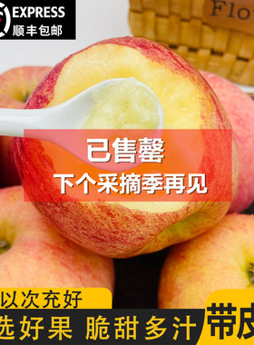 当季新鲜水果不打蜡山西特级红富士苹果冰糖心脆甜10斤顺丰包邮