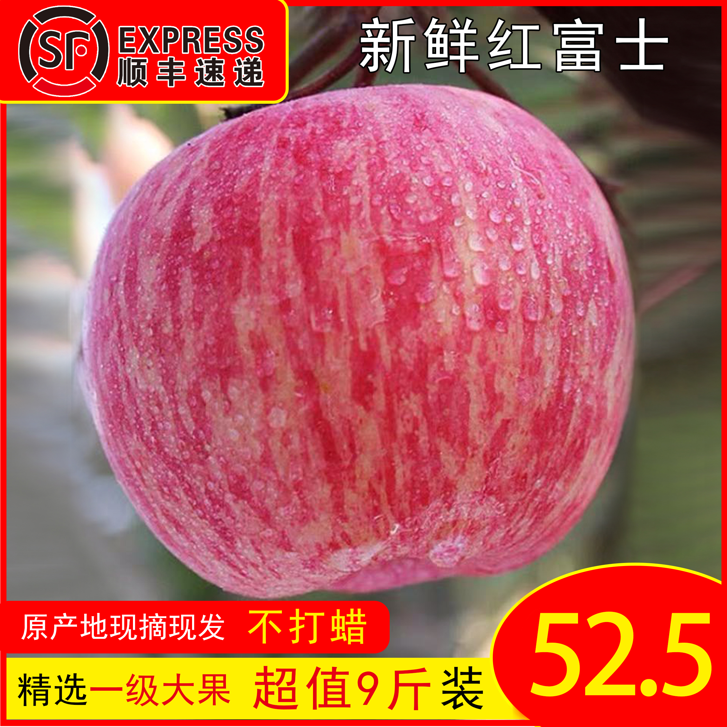 山西吉县壶口瀑布苹果条红富士脆甜多汁应季时令孕妇水果10斤包邮