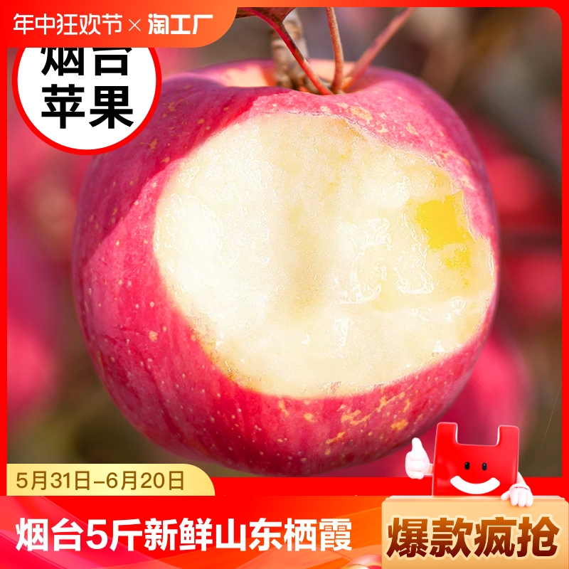 烟台红富士苹果水果5斤新鲜山东栖霞特产脆甜当季整箱包邮直发