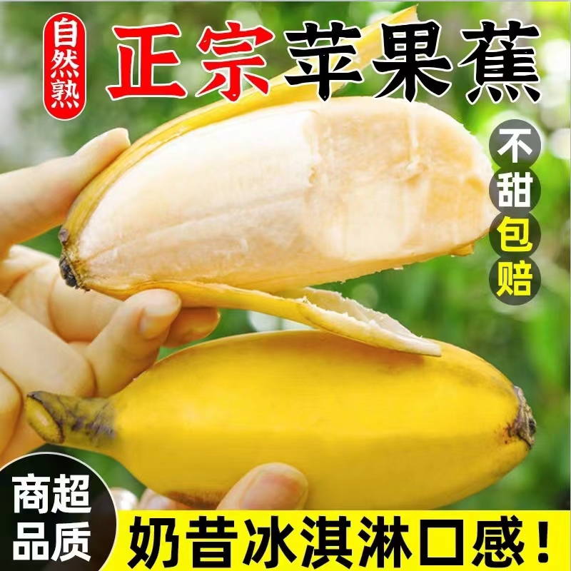正宗苹果蕉香蕉新鲜水果10斤苹果粉蕉自然熟当季整箱小米芭蕉香焦