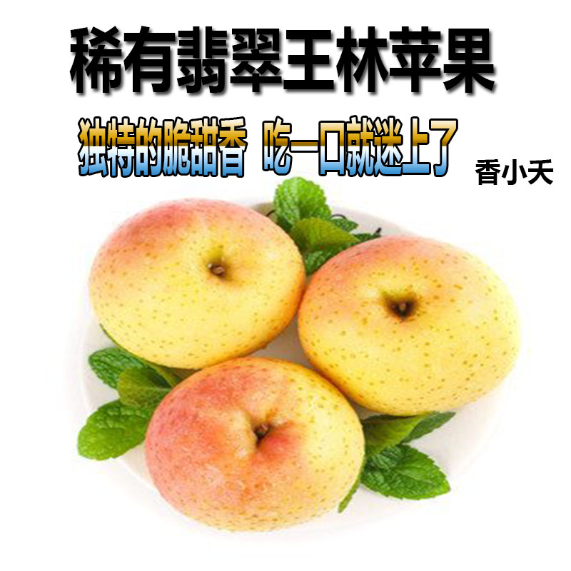 山东正宗翡翠红王林苹果大现摘新鲜孕妇水果日本青森国内种植脆甜