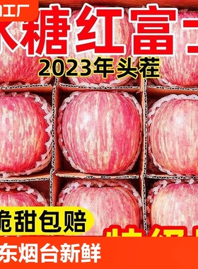 山东烟台红富士10斤苹果水果新鲜整箱包邮冰糖心栖霞平果5现摘