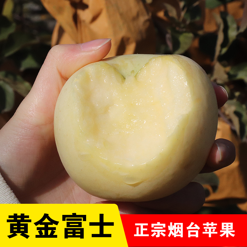 黄金奶油富士苹果整箱5斤孕妇水果包邮脆甜白苹果黄苹果当季鲜果