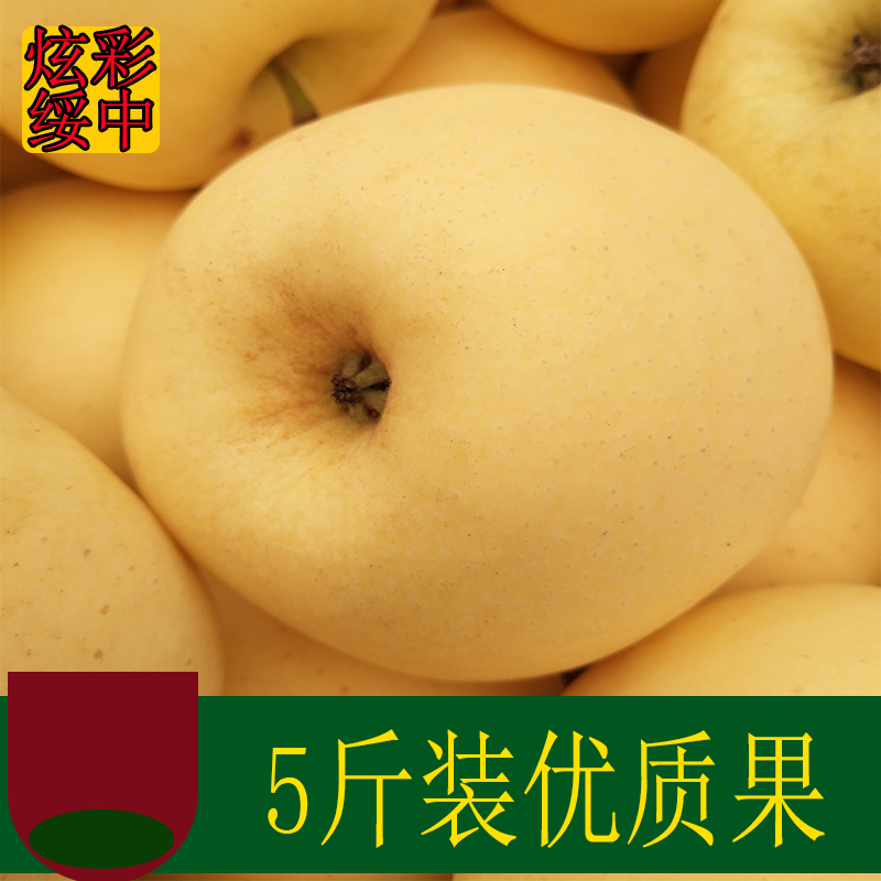 黄元帅苹果新鲜水果5斤农家自产坏果黄香蕉粉苹果整箱鲜果黄金帅