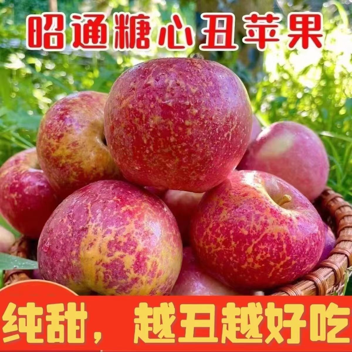 现摘云南昭通市丑苹果水果新鲜整箱当季5斤红露富士糖心苹果绍通