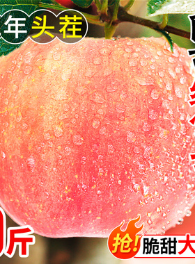 陕西红富士苹果高原水果新鲜应当季丑苹萍果整箱5现摘冰糖心10斤