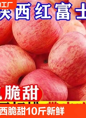 陕西脆甜红富士苹果10斤新鲜当季冰糖心苹果水果富士平果5斤一级