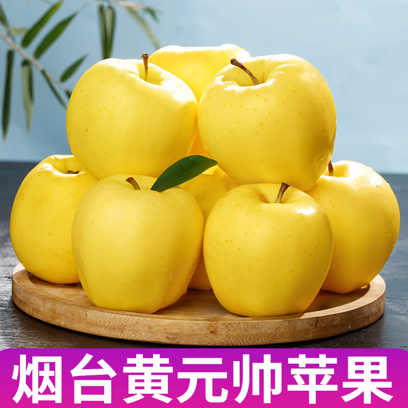 山东烟台黄元帅苹果新鲜水果正宗黄金帅黄香蕉苹果粉平果9斤5包邮