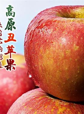 东方甄选高原丑苹果 5斤/4.8斤 当季新鲜水果酸甜多汁 坏果包赔