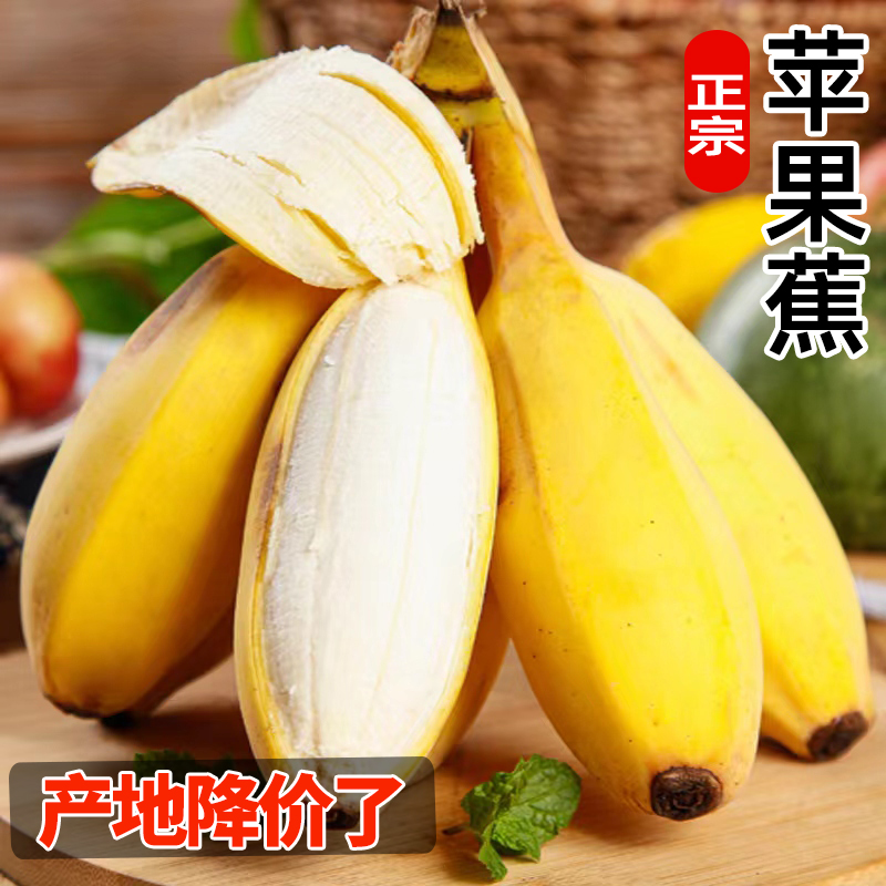 【新鲜采摘】正宗苹果蕉香蕉新鲜5斤9斤水果甜蕉自然熟当季整箱