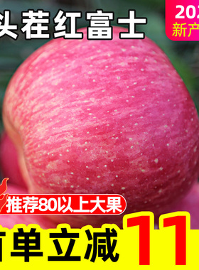 红富士苹果新鲜水果当季丑苹果整箱10斤应季头茬青5斤冰糖心脆甜