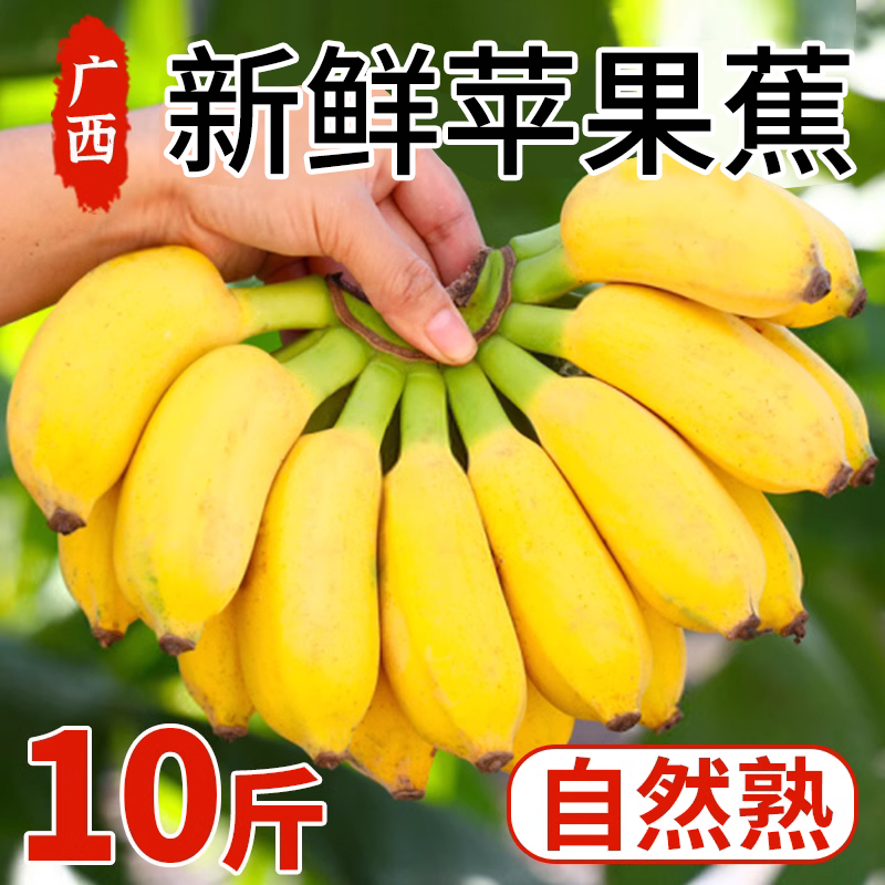 正宗苹果蕉香蕉新鲜5斤当季整箱水果自然熟粉蕉芭蕉小米香甜蕉9