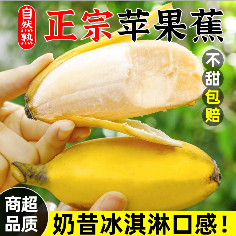 1广西苹果蕉软糯香甜 香蕉水果5斤 不打催熟药自行放熟1斤4-5个
