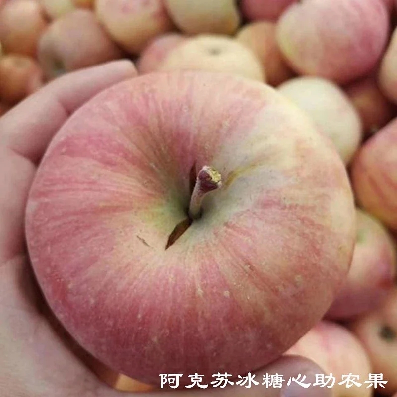 助农果正宗新疆红露苹果冰糖心丑苹果当季新鲜水果酥脆甜5斤/箱