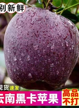 云南昭通黑卡苹果黑钻黑色特产纯甜苹果新鲜水果5当季10斤脆甜zz