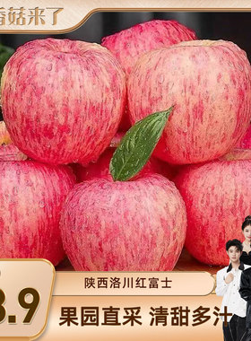 【香菇来了】陕西洛川苹果5斤新鲜水果红富士冰糖心当季整箱苹果