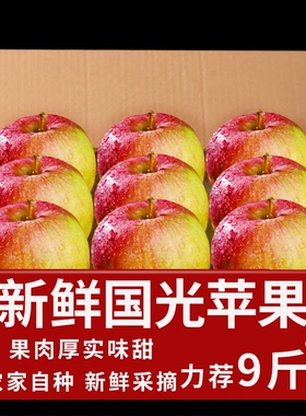 正宗国光苹果新鲜水果国光苹果酸甜脆多汁农产品老人特产5斤装包