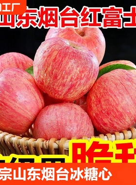 正宗山东烟台苹果脆甜冰糖心红富士苹果水果新鲜当季5斤平果5斤