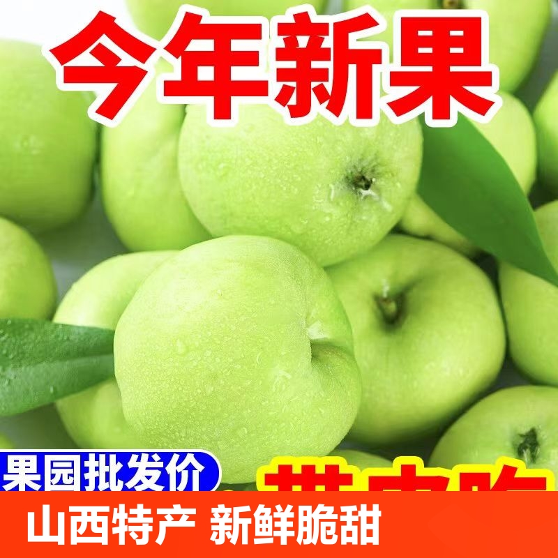 青苹果酸脆水果新鲜苹果应季山西整箱5斤批发脆甜大果产地果园