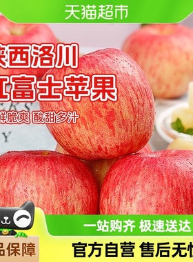 陕西洛川苹果5/8斤脆甜多汁新鲜水果整箱包邮