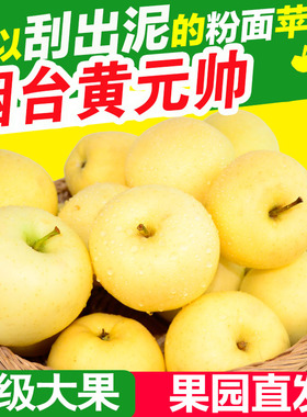 黄元帅苹果新鲜水果烟台苹果黄金帅粉面黄苹果5红富士黄香蕉10斤