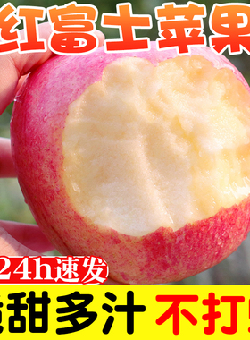 山东红富士苹果水果新鲜应整箱9斤当季脆甜丑萍果5斤冰糖心包邮
