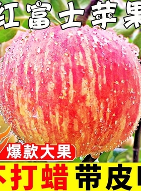 洛川苹果新鲜水果批发冰糖心红富士丑苹果5斤/9斤烟台甄选脆甜