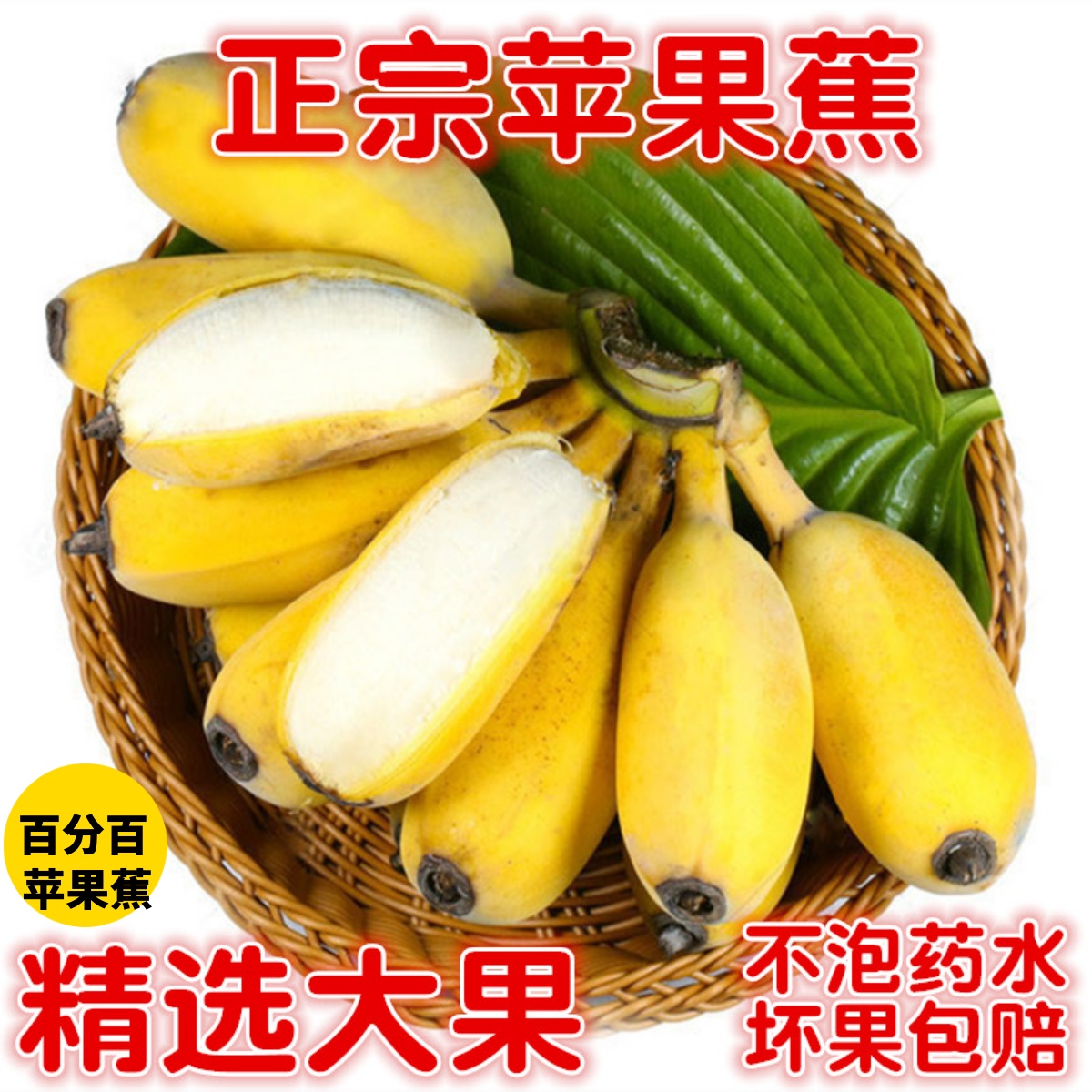 正宗苹果蕉5斤新鲜香蕉10斤水果当季整箱自然熟小米蕉粉蕉大芭蕉