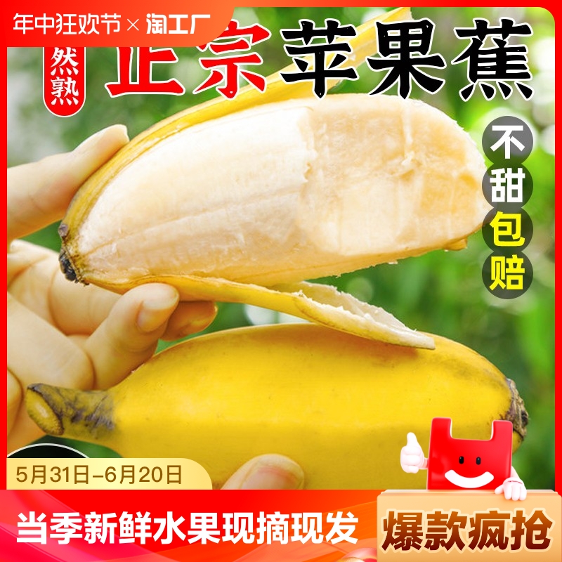 农家自然熟苹果蕉正宗广西banan粉芭蕉香蕉当季新鲜水果整箱5/9斤