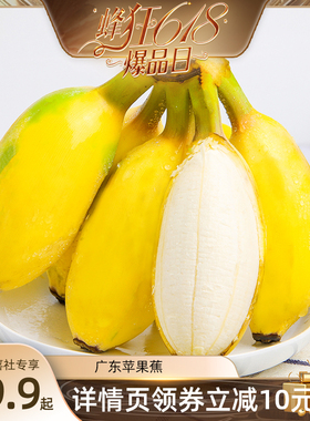 【蜂狂618爆品日】【恰好庄园】广东苹果蕉3/5斤香蕉新鲜水果甜焦