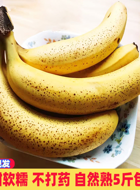 广东香蕉新鲜水果自然熟香甜现摘芝麻粉蕉苹果芭蕉小米蕉5斤包邮