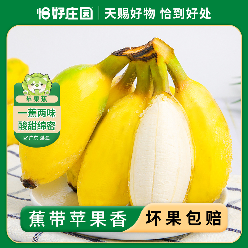 【恰好庄园】广东苹果蕉3/5斤香蕉新鲜水果时令甜焦整箱批发包邮