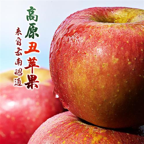 东方甄选高原丑苹果 5斤/4.8斤 当季新鲜水果酸甜多汁 坏果包赔