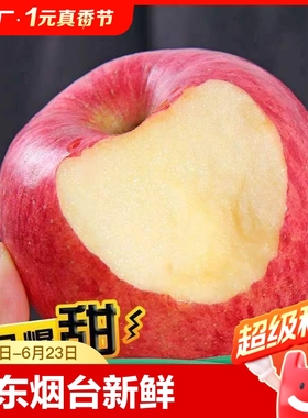 山东烟台红富士10斤苹果水果新鲜整箱包邮冰糖心栖霞平果5脆甜