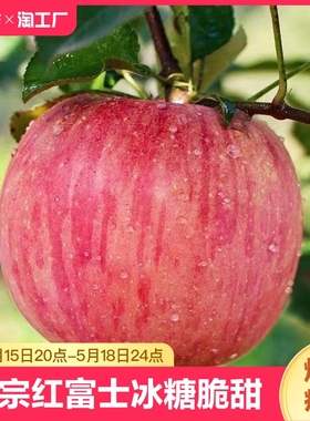 5斤正宗红富士苹果水果新鲜当季整箱时令脆甜孕妇冰糖心苹果批发