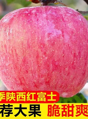 当季陕西红富士丑苹果水果新鲜脆甜冰糖心苹果5斤整箱特价平果