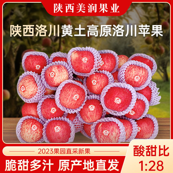 陕西洛川苹果水晶红富士水果脆甜苹果洛川富士冰糖心新鲜水果5斤