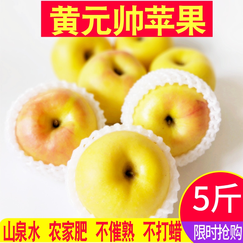 黄元帅金帅食用苹果萍果新鲜水果易粉面苹果应季水果5斤多省包邮