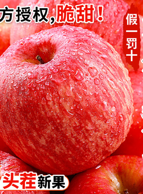山东烟台红富士10斤苹果水果新鲜整箱包邮应当季冰糖心栖霞平果5