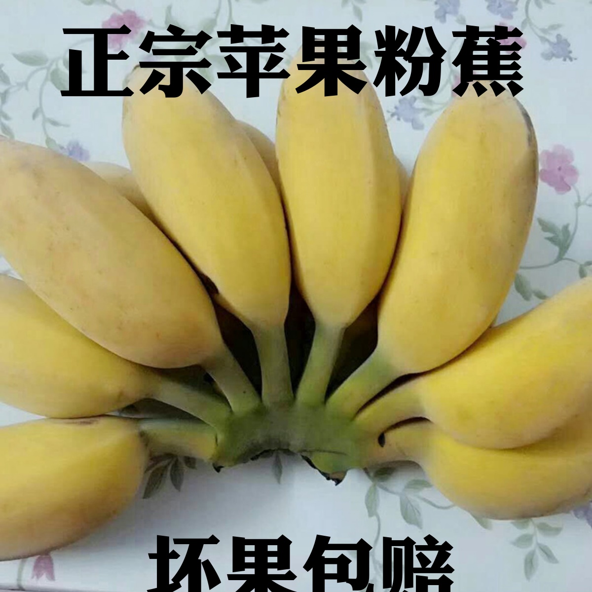 苹果香蕉小米焦粉蕉帝王蕉绿香蕉野生芭蕉水果香蕉新鲜大芭蕉5斤