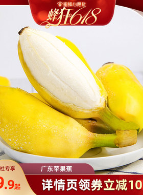 【蜂狂618】【恰好庄园】广东苹果蕉3/5斤新鲜水果小甜蕉当季